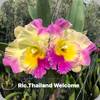 Rlc. Thailand Welcome
